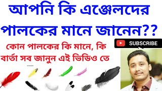 #holyfirereiki #feather#angel Meaning of angels feather জেনেনিন এঞ্জেল পালকের মানে কি সম্পূর্ণ তথ্য