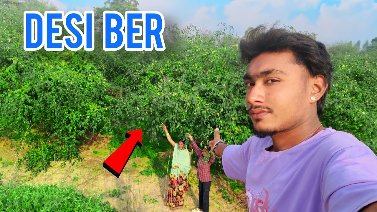 DESI.BER... #video #vlog ||देसी बेर ||Suraj sonpur vlogs 