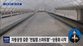 무인 스마트시스템이 청정 천일염을 만든다[목포MBC 뉴스데스크]