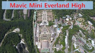 Mavic Mini Everland High