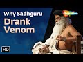 Why Sadhguru Drank Venom | Sadhguru | Shemaroo Spiritual Life