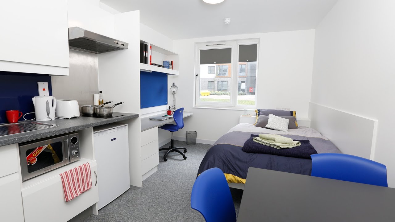 studio college lane life uni of herts