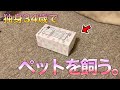 【34歳独身】６畳の狭い部屋でペットを飼う！