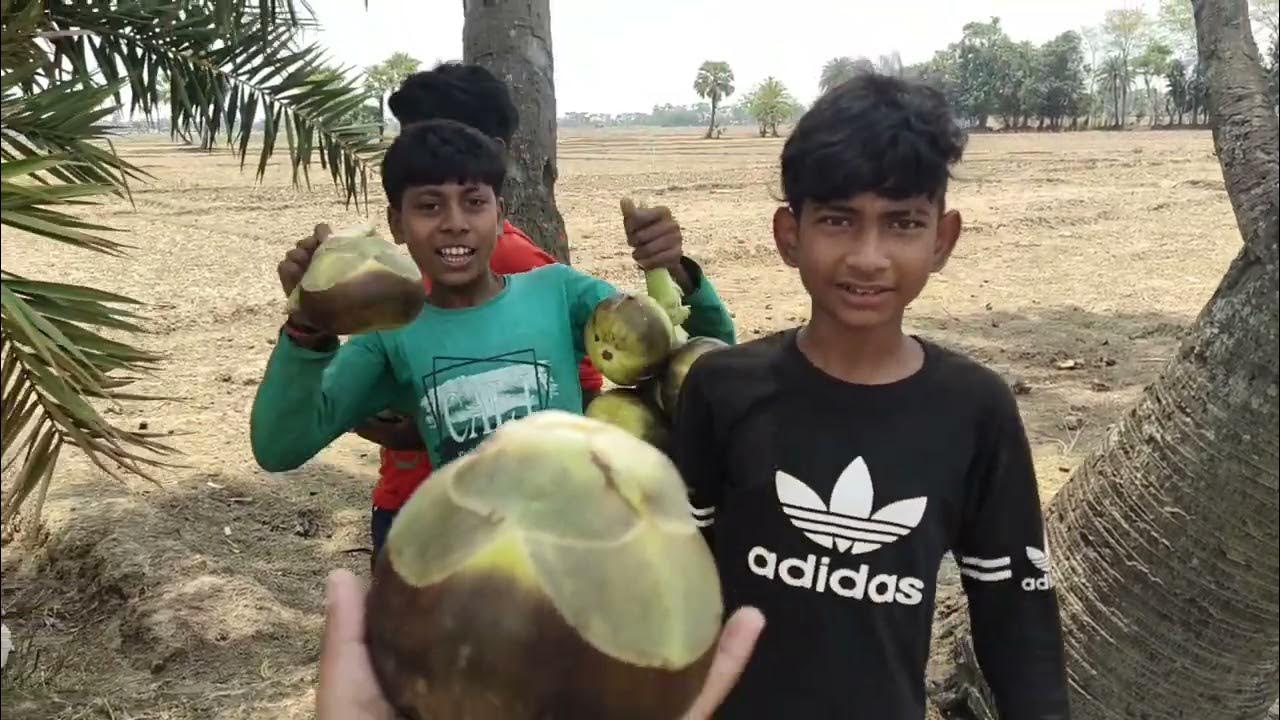 BODY HEAT RELIEVER/NATURE'S GIFT/SUMMER COOLER/ICE APPLE/ TADGOLA/COLD FRUIT/ Kaisa Hota Hai