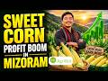 Sweet Corn Profit Boom in Mizoram | Success Stories