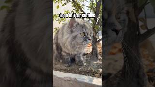 I Hope You Have A Good Day