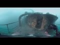 360 - Wreck Diving - HMNZS Canterbury