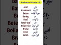 Daily Use English Vocabulary | Business Vocabulary | English to Urdu -18 #vocabulary