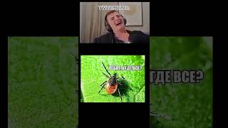 #артурзлой #мем #twitch #funstream #игровоенастроение #смехсквозьслёзы #чатики #zuki #memes #клипчик