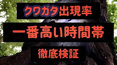 Let S Play In The Nature Of Japan Fish Stag Beetle Youtube
