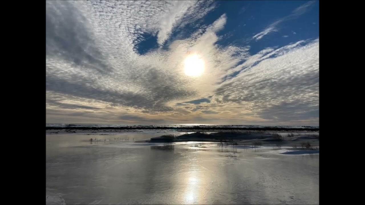 Skowylec - Solar System Dub