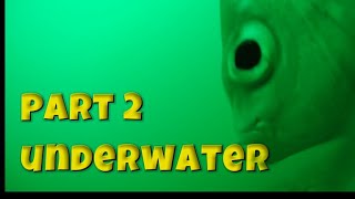 Fascinating underwater film  Jay Neil and Me out at sea part 2