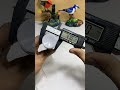 Video Image