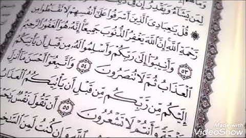 القارئ محمد السامرائي .. ماتيسر من سورة الزمر