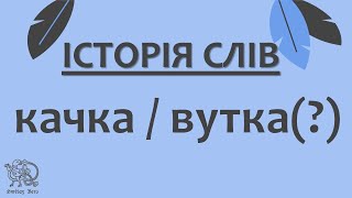 [Історія Слів] Качка / Вутка (?)