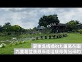 屏東吳媽媽的九重葛花園 九重葛盆景原來是這樣修剪出來的