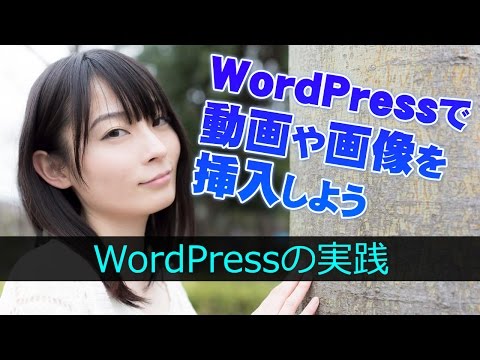 これでバッチリ！WordPressで記事内に動画や画像を挿入しよう