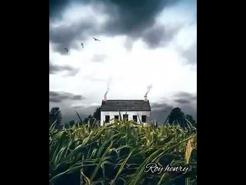 Tenanglah Kini Hatiku - Roy Hendry