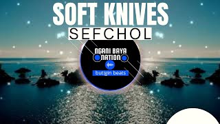 Soft Knives - SefChol (Funky EDM | Inspirational Background Music No Copyright) screenshot 5