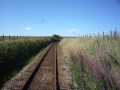 Cab view from a scotrail 158 georgemas to thurso