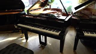 YAMAHA DC3X EN PRO PE - 2018 - Chopin Nocturne Op. 9: No. 1 B-Flat Minor - Disklavier Playback