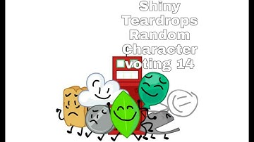 Shiny Teardrops Random Character Voting 14