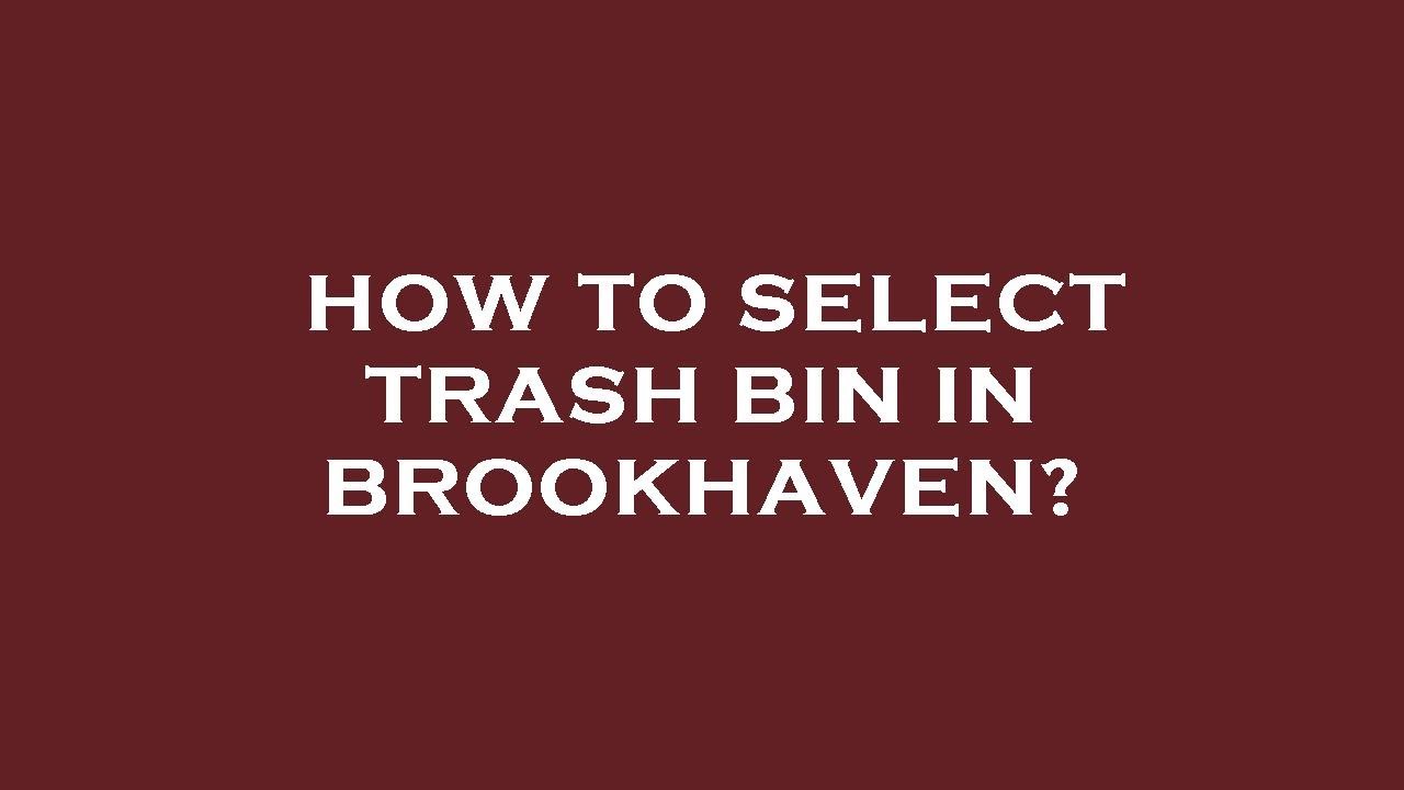 How to select trash bin in brookhaven? YouTube