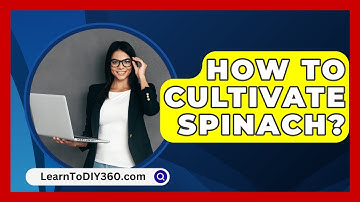 How To Cultivate Spinach? - LearnToDIY360.com