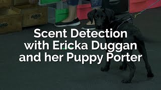 Scent Detection with Ericka Duggan and Her Puppy, Porter