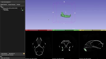 3D Slicer - Segment Geometry Cat Jaw Demo