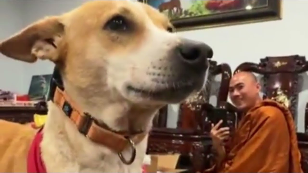 I love that someone sent them all journals!