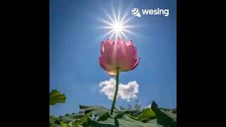 Penantian Tak Pasticover By Triansh Cjr 