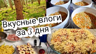 картинка: «Поехали за грибами — и вот что вышло 🍄 