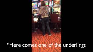 15.  Genting Highland scam