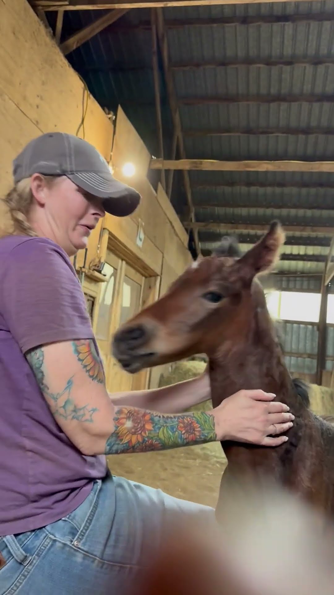 Foal Can't Resist Delicious Baseball Cap || ViralHog