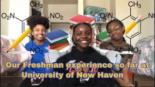 Our Freshman Experience So Far At The University of New Haven!!!!