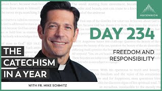Day 234: Freedom and Responsibility — The Catechism in a Year (with Fr. Mike Schmitz)