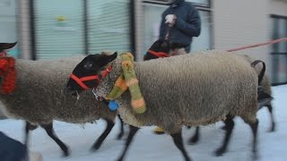 干支の羊が年賀状を配達 北海道士別市