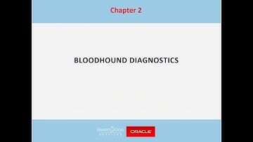 EBS Optimization using Free! Diagnostics from SmartDog