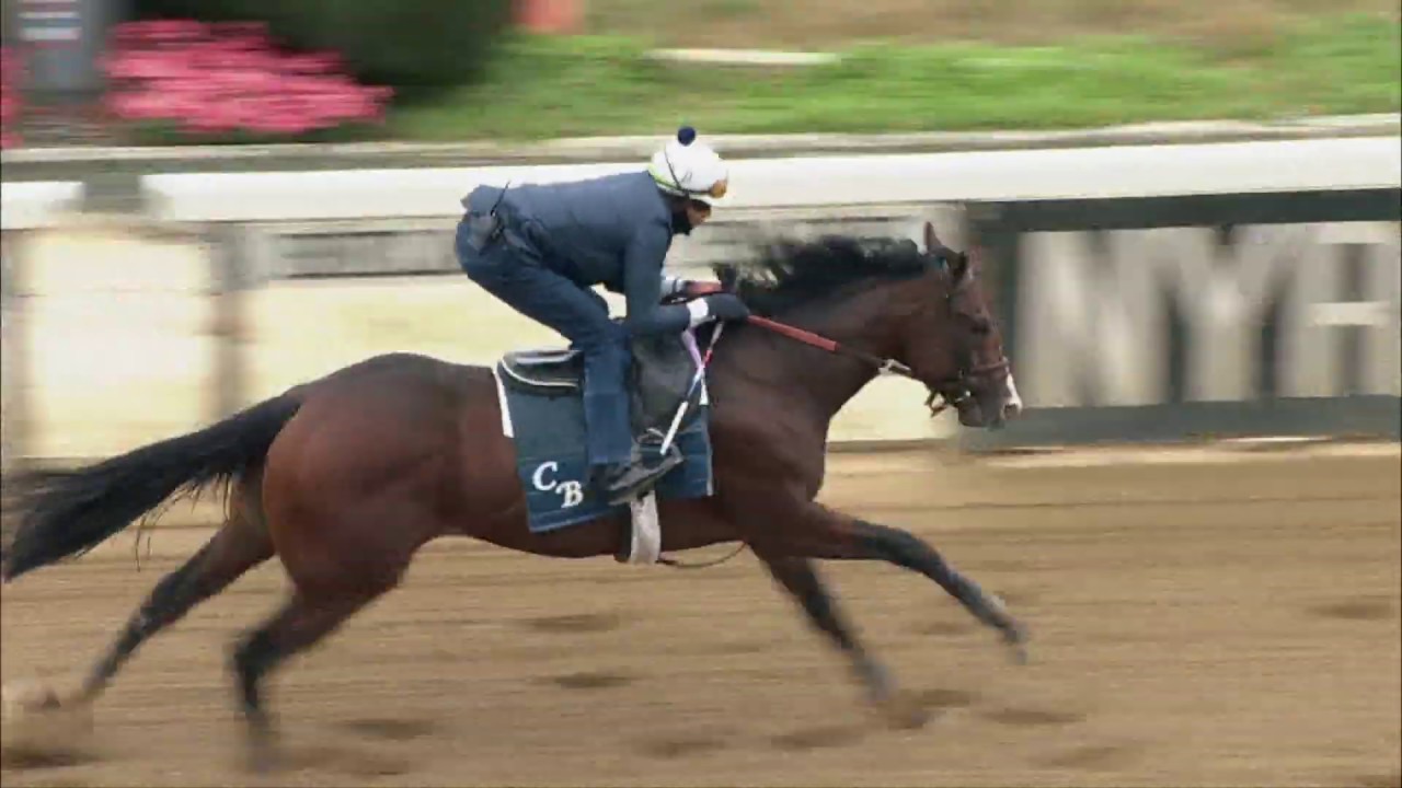 horse racing news Complexity Works for the Breeders' Cup Juvenile