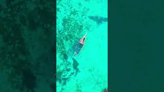 الدعاء بعد الفجر الله dowa ocean droneshot dronevideo reels reel short shorts shortvideo