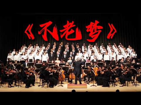 【交响】你没听过的《不老梦》版本【Hi-Res无损音质】