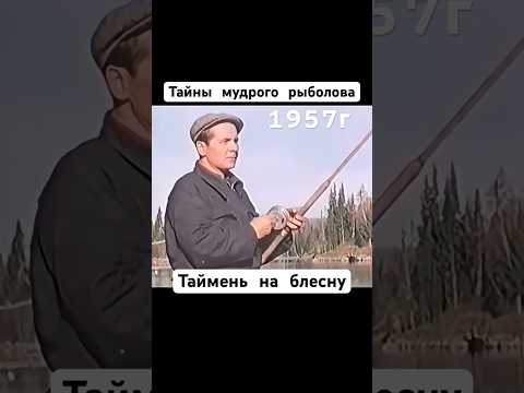 Тайны мудрого рыболова. 1957г #таймень #рыбалка #блесна #рыбак #спиннинг #ссср #шортс #shorts