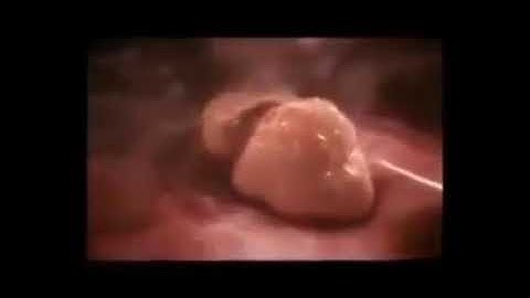 مراحل تكون الجنين من آيات القرآن بصوت فضيله الشيخ عبد الباسط عبدالصمد