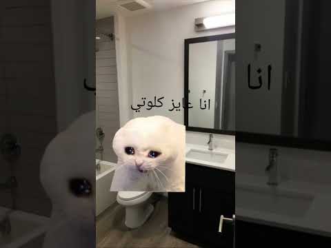 عايز كلوتي