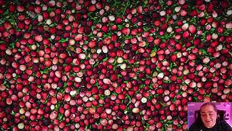 Core: Sitefinity .NET Core Image Property using MixedContentContext