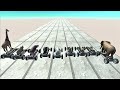 Animal Kart Race. Flat long straight course! | Animal Revolt Battle Simulator