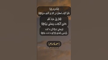 سورة مريم الآية ٢٨ الى ٣٢ بصوت الشيخ محمد صديق المنشاوي