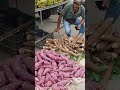 Feira Livre de palmeira dos índios quarta e sábado