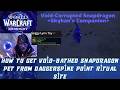 How to Get Void-Bathed Snapdragon Pet | Soggy Lynx Toy | Void-Corrupted Snapdragon